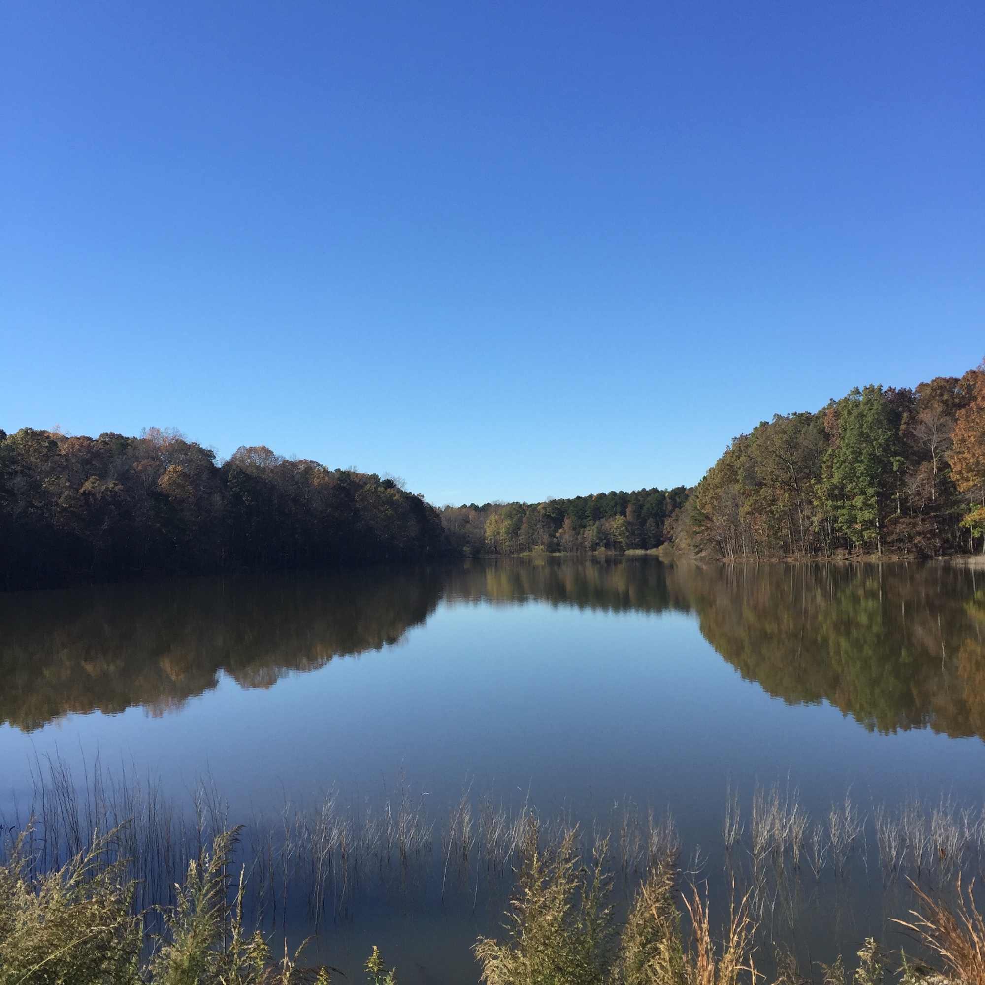 Our Story Commercial Real Estate Charlotte, NC E.C Griffith Real