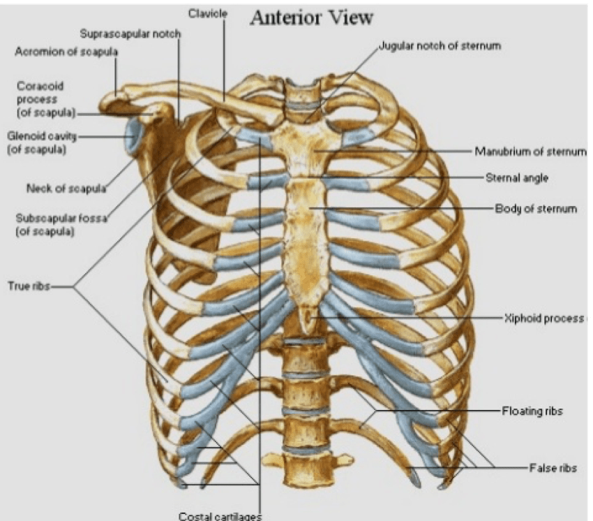 Amal Mattu’s ECG Case of the Week July 1, 2019 ECG Weekly