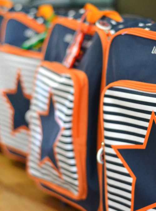 Charity Sewalong February 2019 Echidna Sewing