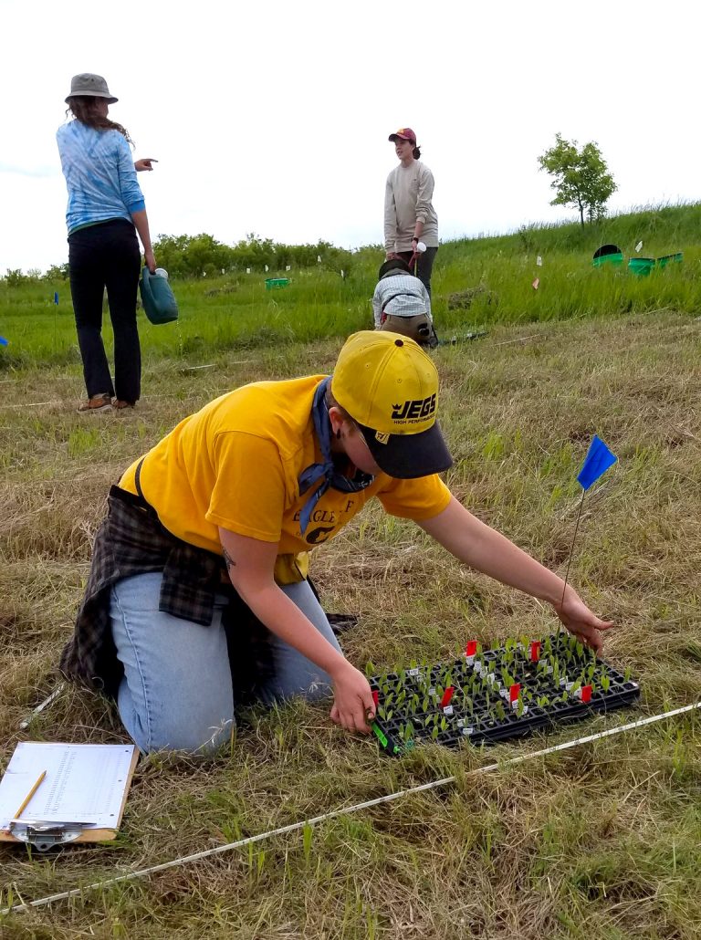 Summer REU Internship 2024 « The Echinacea Project