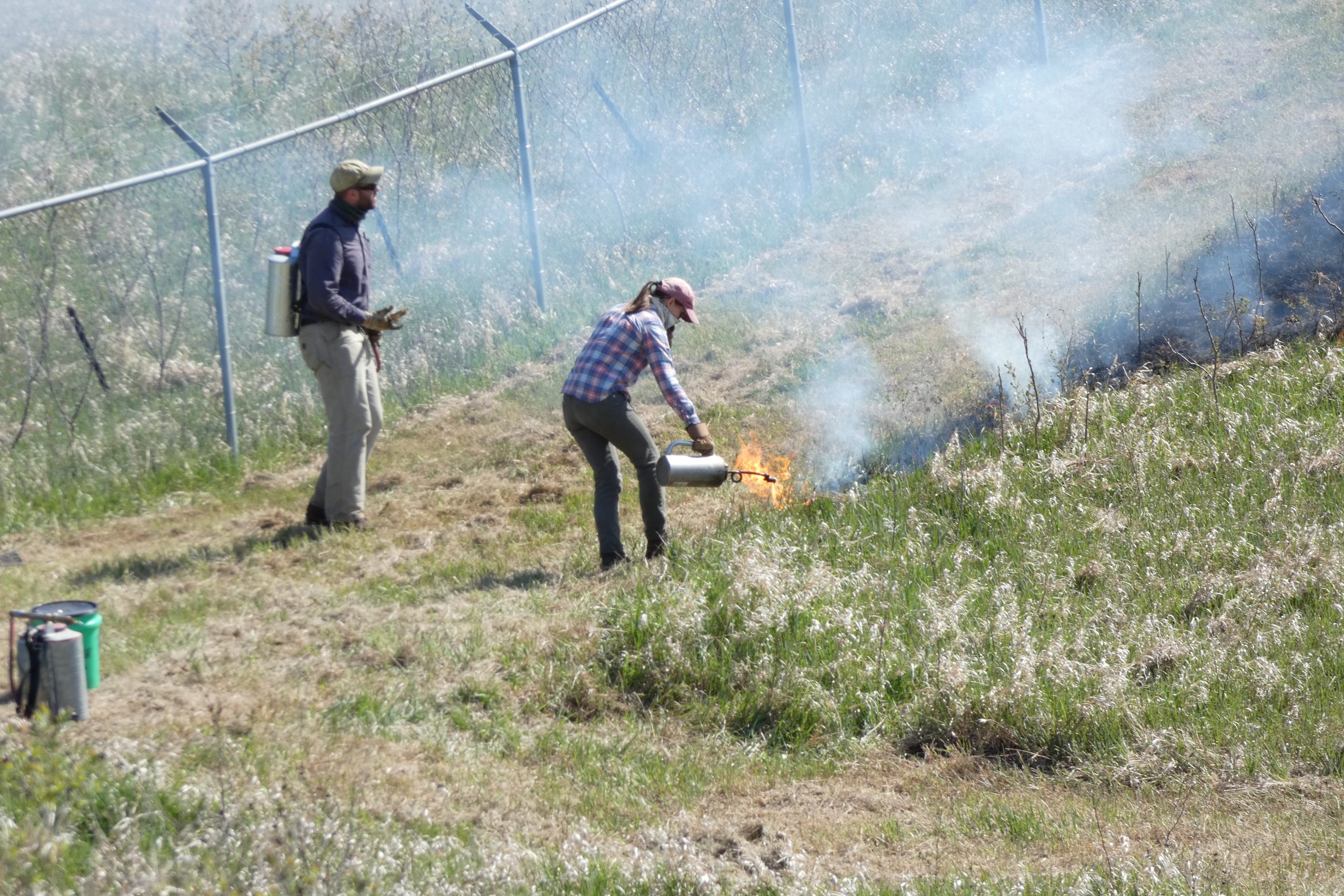 burning landfill (east) 2021 « The Echinacea Project