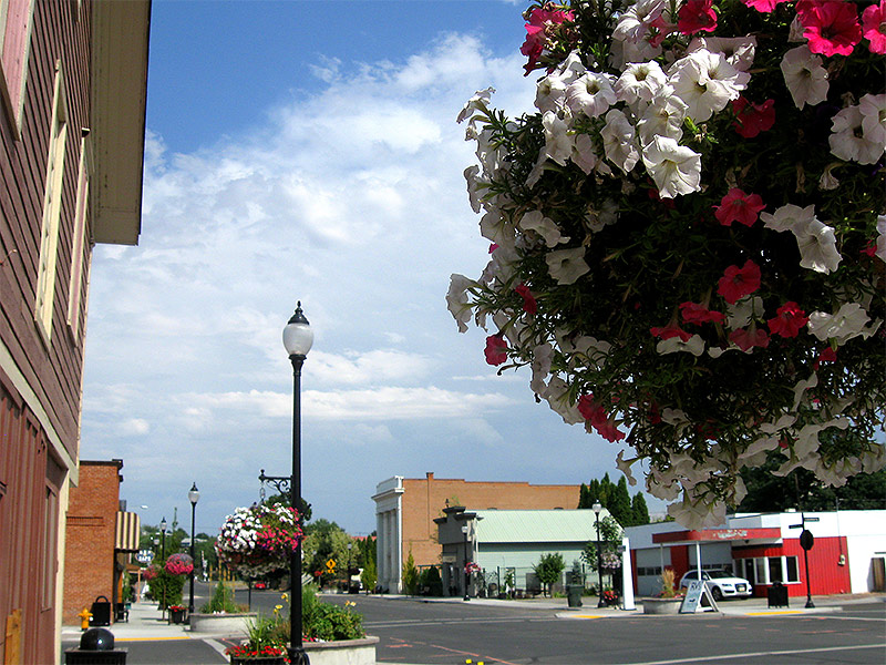 Echo Gallery City of Echo