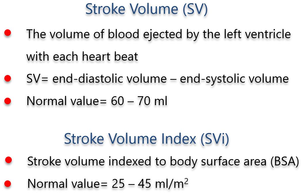 Echocardiography online, left ventricular systolic function
