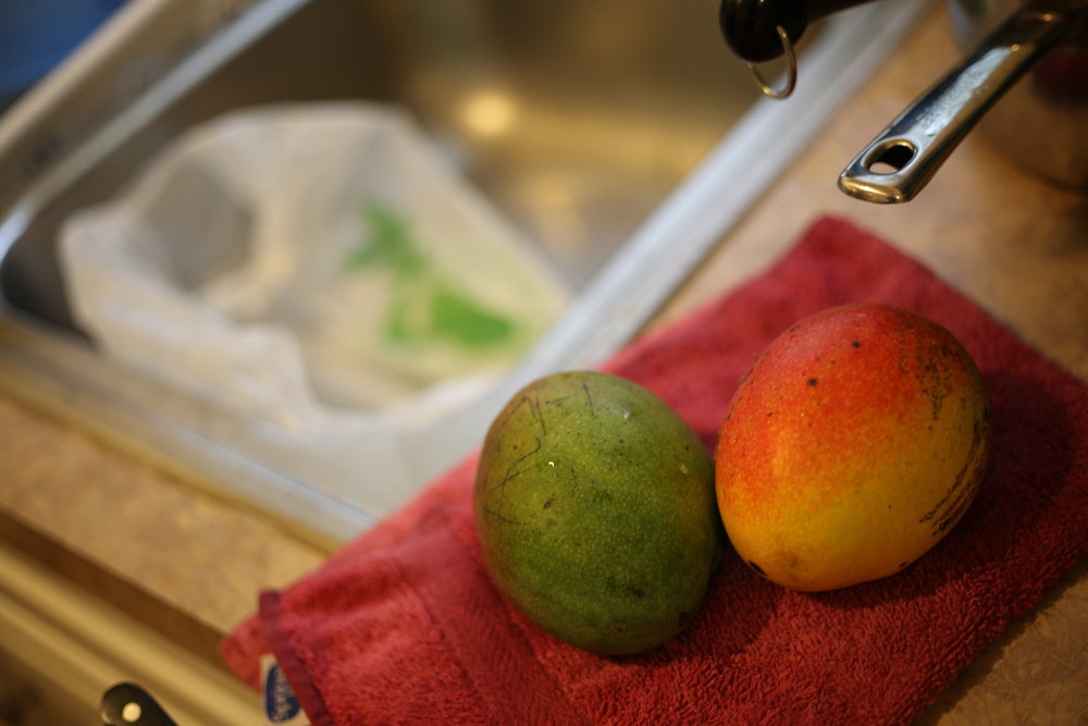 DIY Mango Jam a stepbystep guide to the best homemade mango jam ECHO