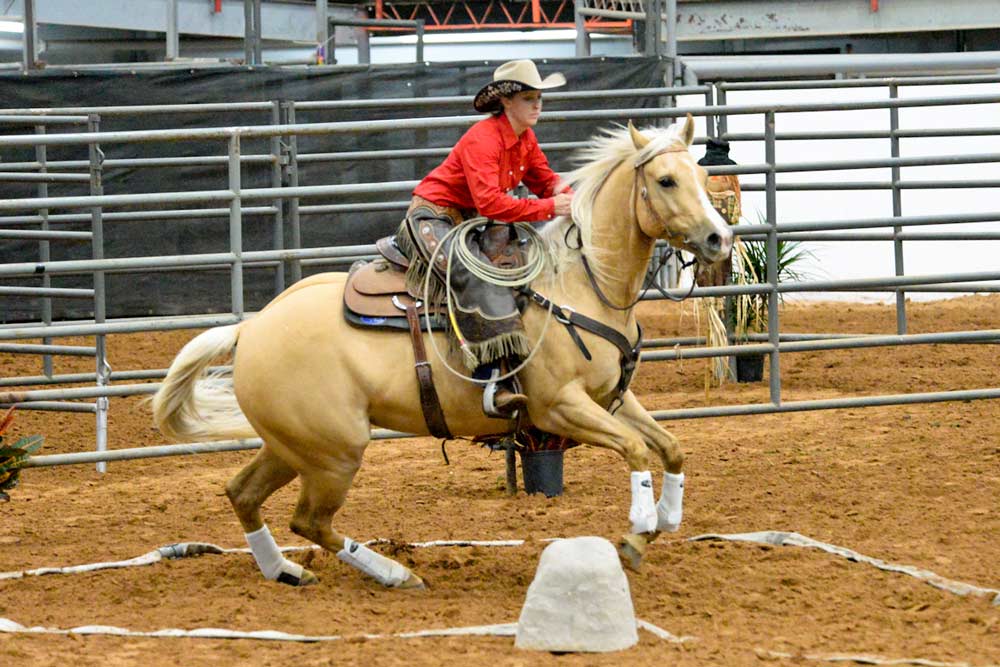 Image & Video Gallery Equus Curito Equine Center in Louisburg, KS