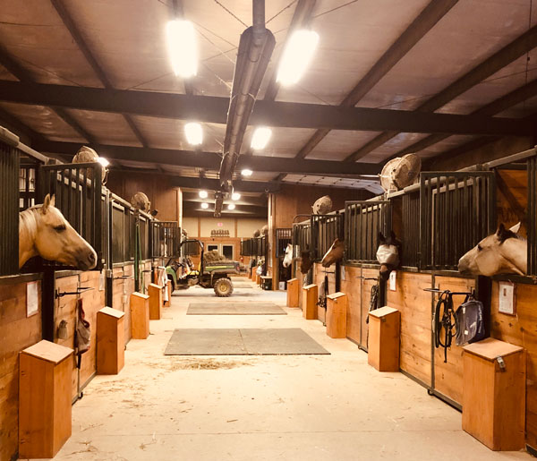 Image & Video Gallery Equus Curito Equine Center in Louisburg, KS