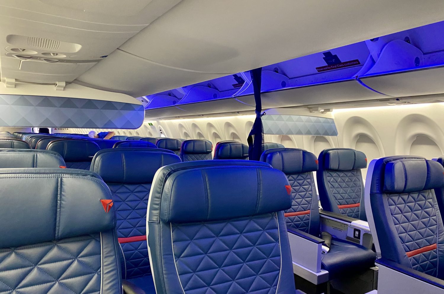 The Best Way To Fly In Style Platinum Delta