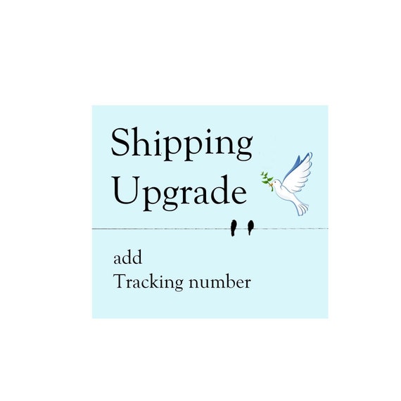 Ebay Offers Tracking On First Class Package International Service