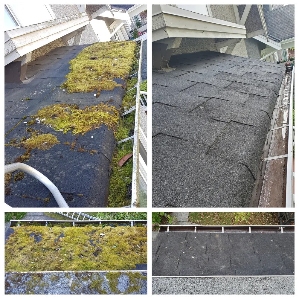 What Is Roof Cleaning? EnviroClean Industries