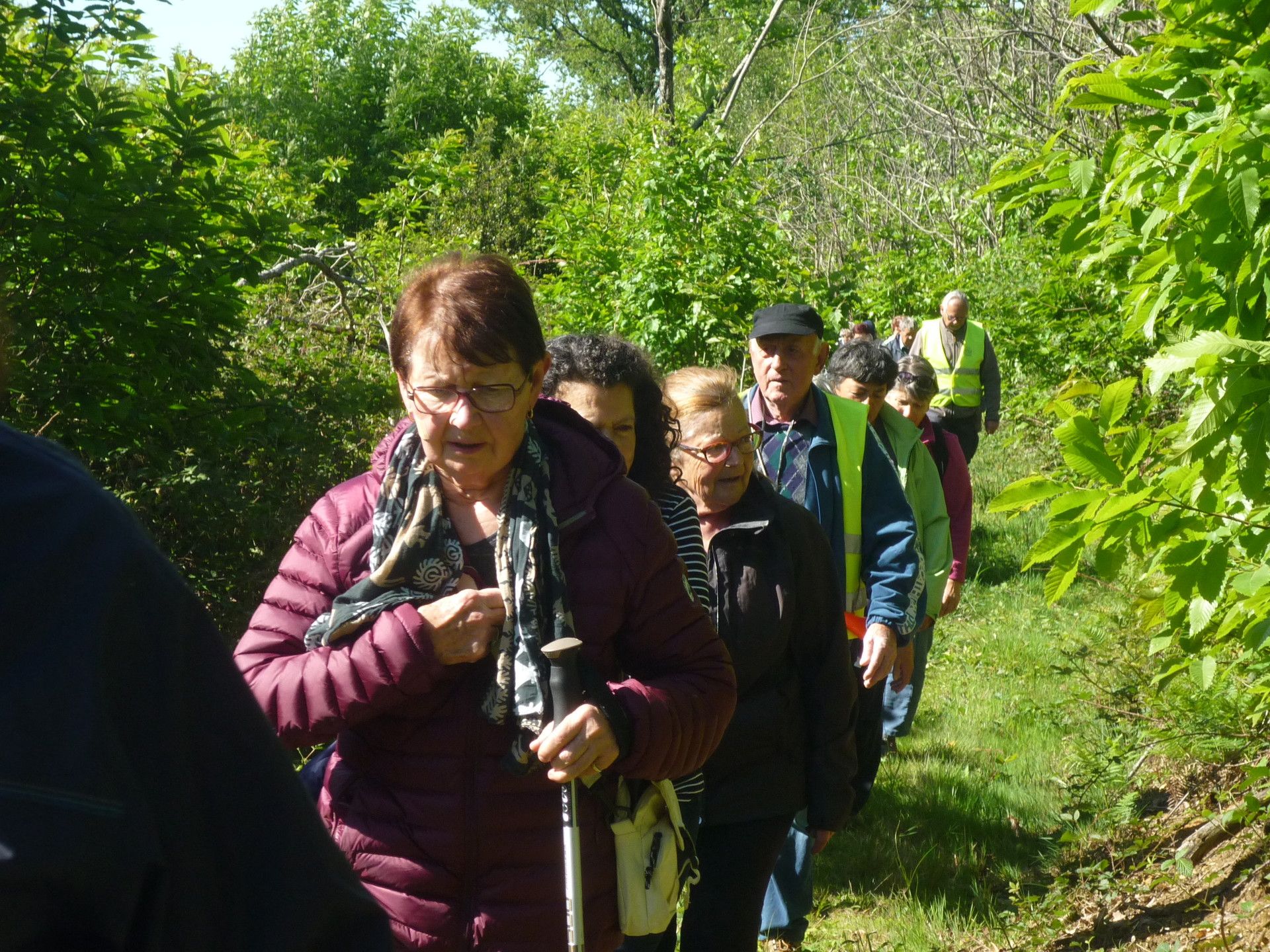 randonnée de SAINT SULPICE LE 14/05/2019