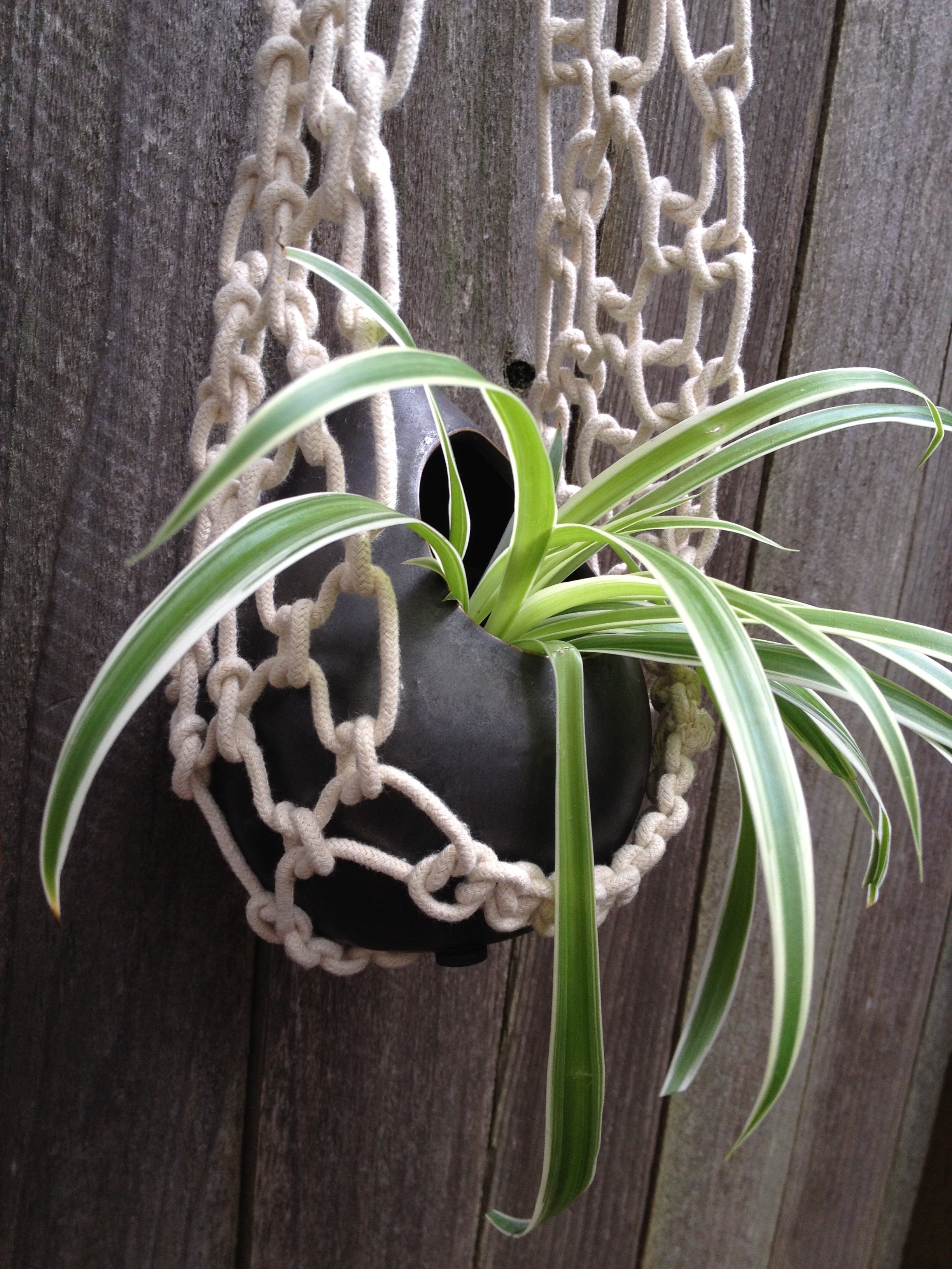 Driftwood Macramé Plant Hangers and Wall Hangings eclectibull