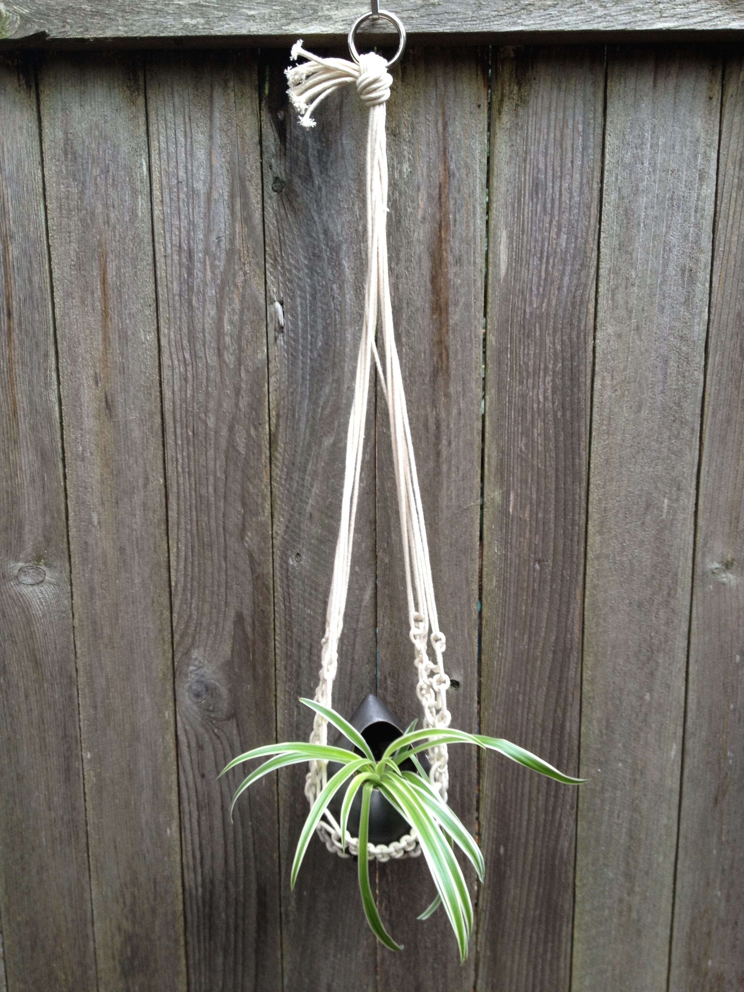 Driftwood Macramé Plant Hangers and Wall Hangings eclectibull