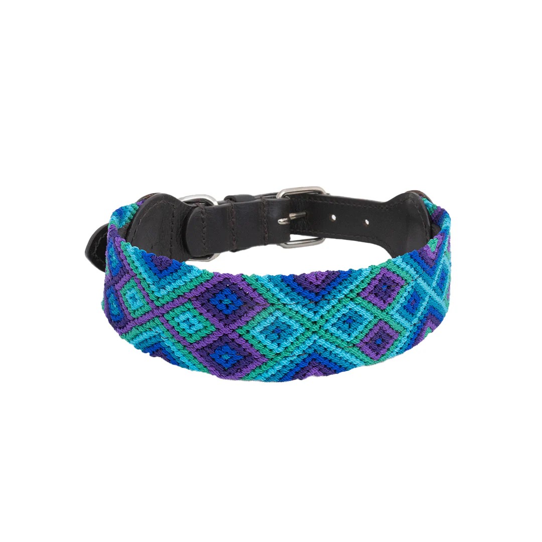 Dog Collars Eclectic Array