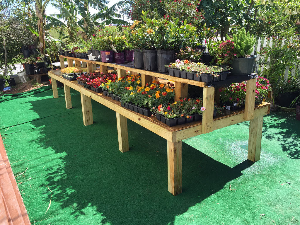 Dirt Yard Earth Creations Landscaping