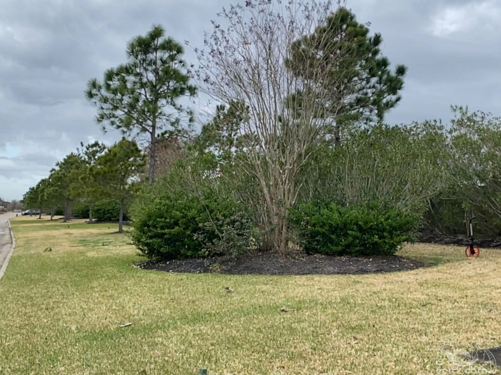 Earth Creations Landscaping Galveston, TX Landscaping