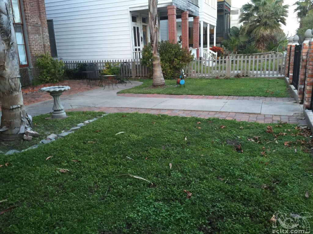 Earth Creations Landscaping Galveston, TX Landscaping