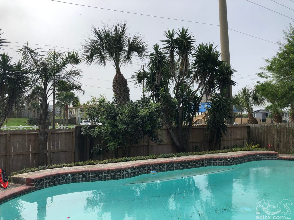 Earth Creations Landscaping Galveston, TX Landscaping