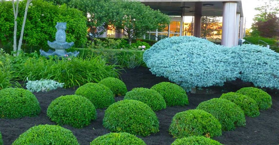Commercial Lawn & Landscape Services » Raleigh NC