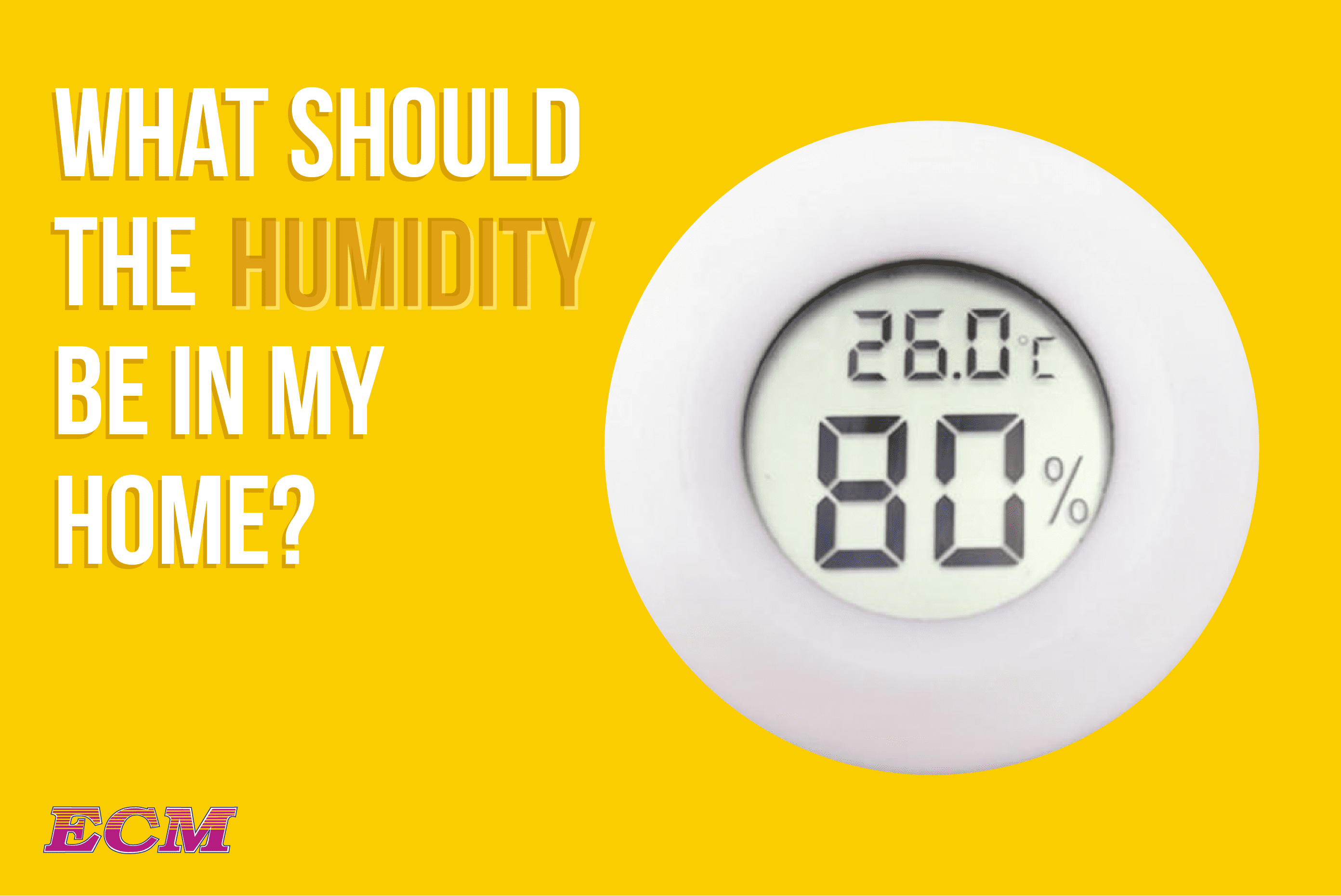 What Should The Humidity Be in My House? Maintain Proper Levels