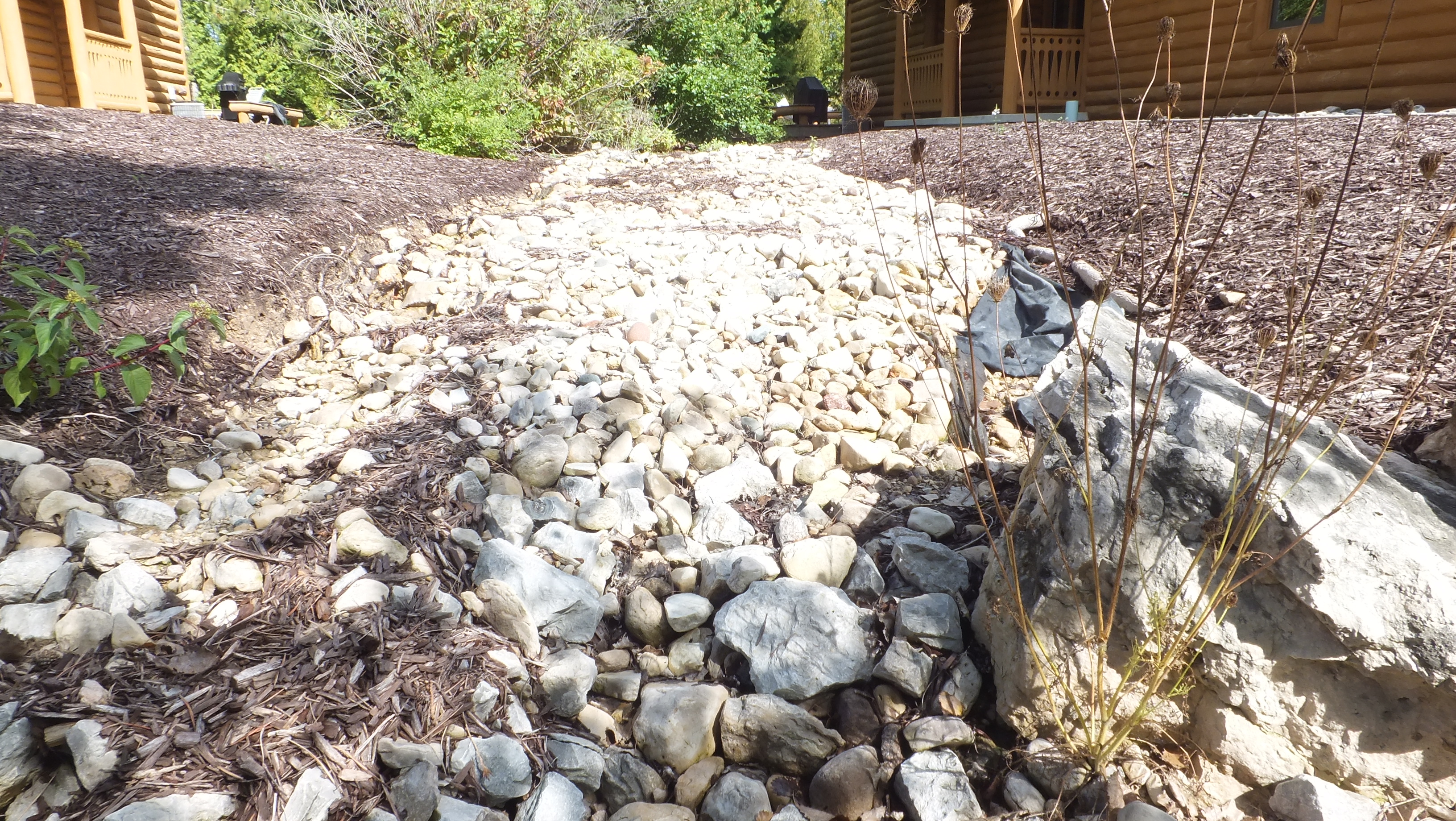 Signs of Soil Erosion and Water Damage EcoBuilding & Forestry, LLC.
