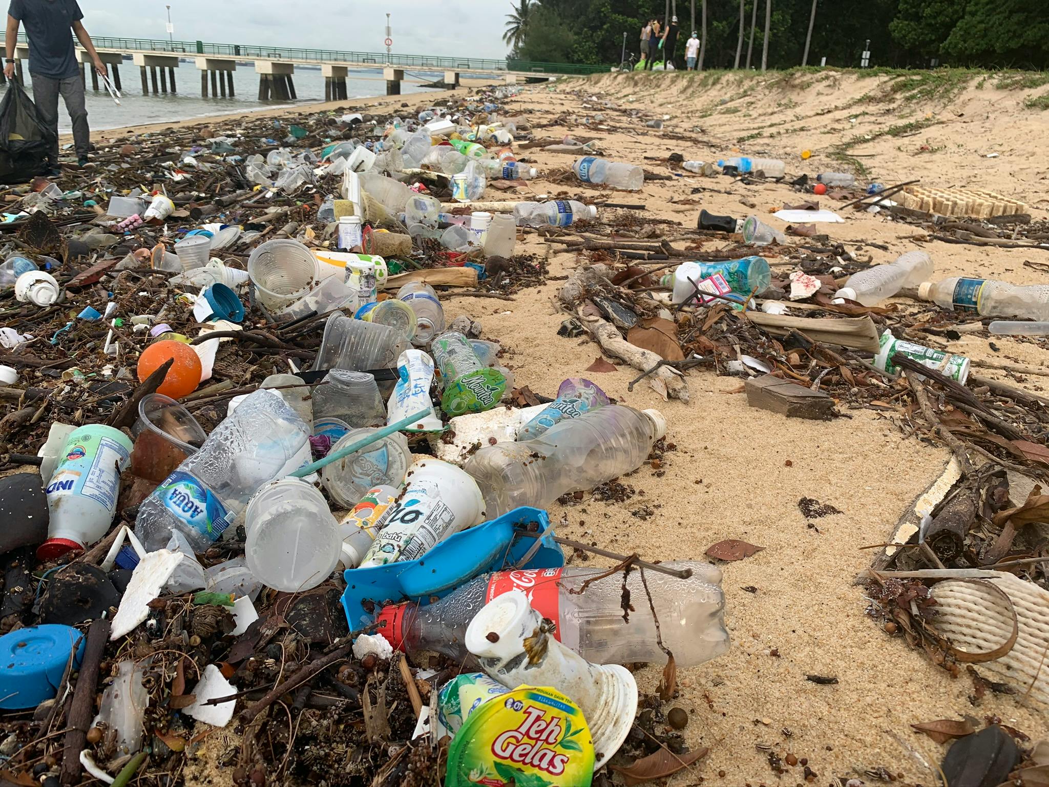 Five facts about unsustainable waste management in Singapore Opinion