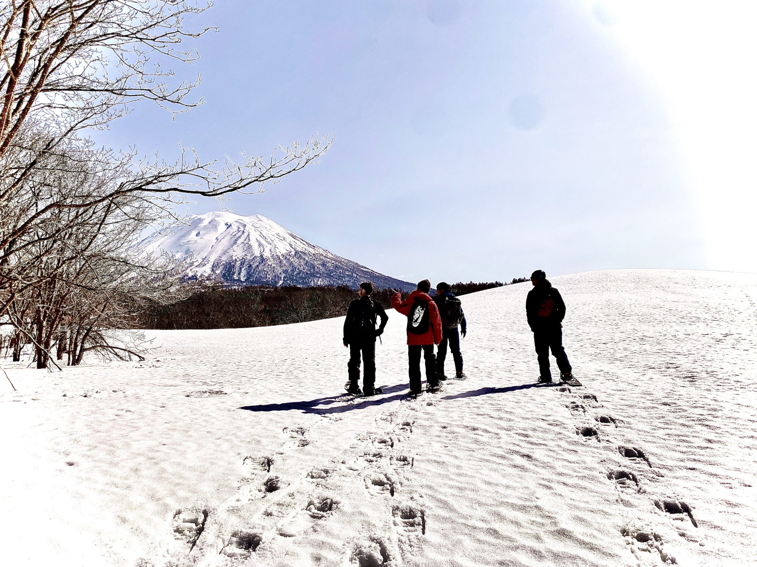 【ニセコ】スノーシュー体験（Powder Niseko Snowshoe Experience） ニセコサイクリング＆ウォーキングツアー体験