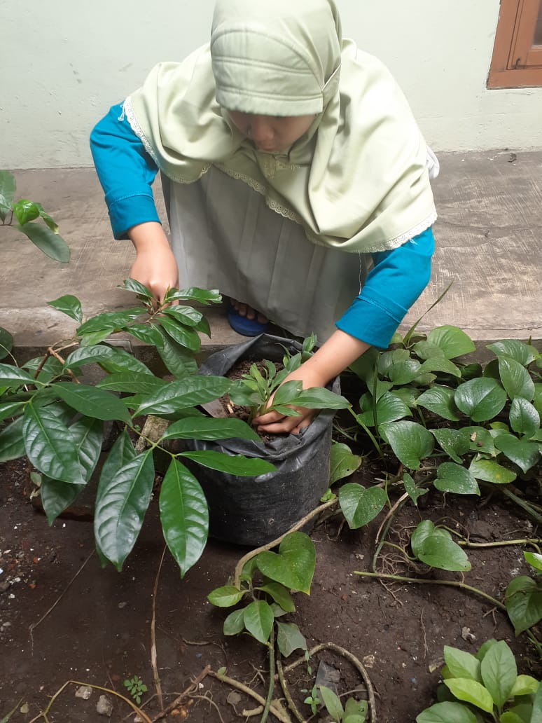 Edukasi Pelestarian Tanaman di Hari Cinta Puspa dan Satwa Nasional 2020