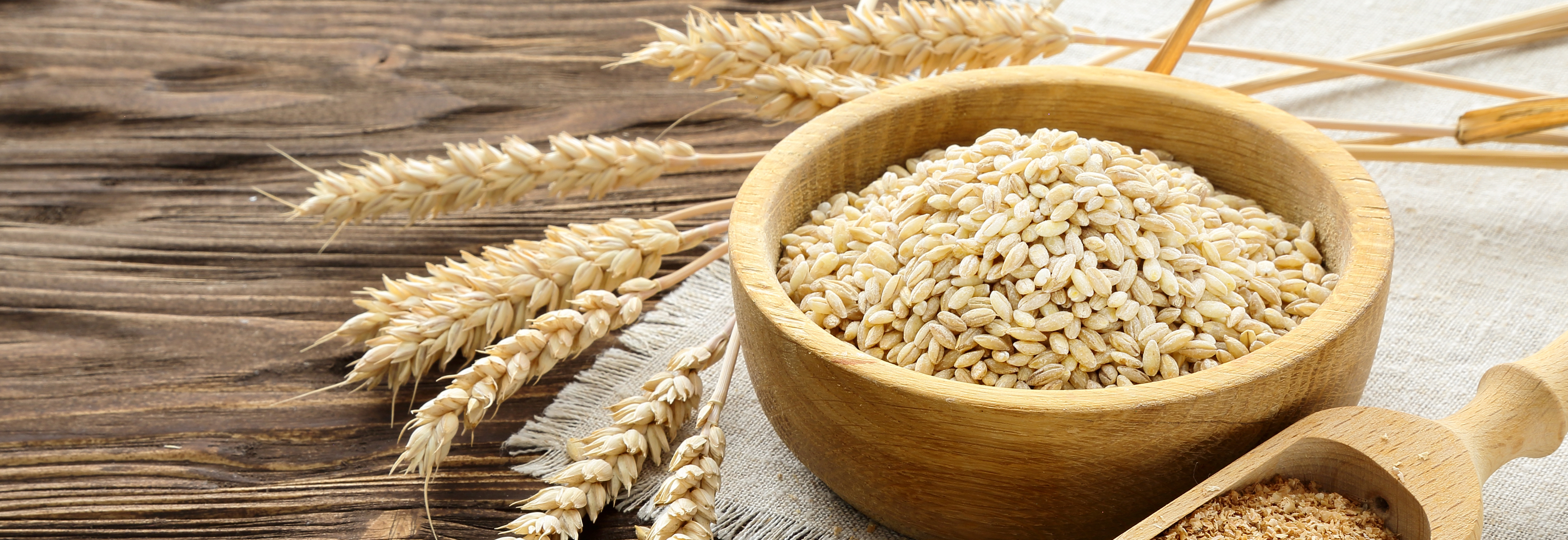 Bran, grain and wheat ears Eco18