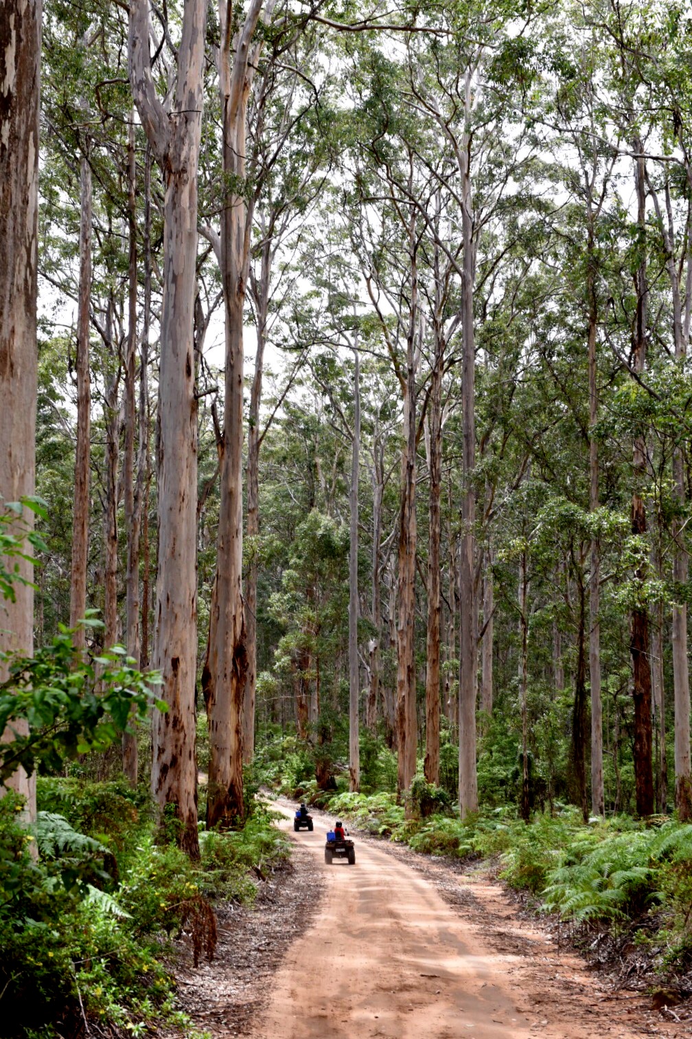Margaret River Quad Bike Tours