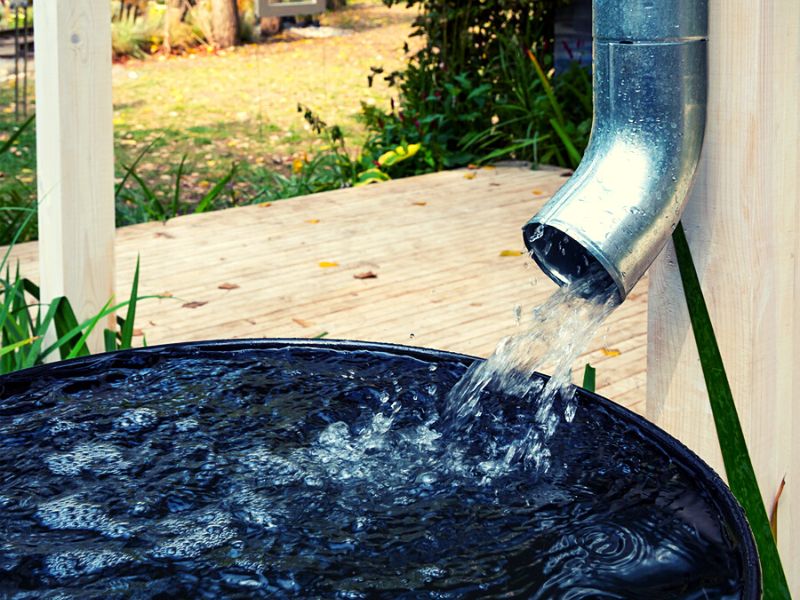 "Is it Illegal to Collect Rainwater? Rainwater 101 Top Advice