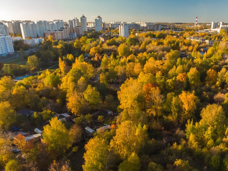 Tree City USA The Importance of Urban Forestry in 2023