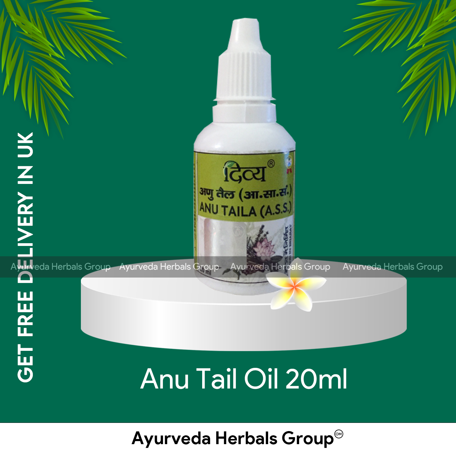 Patanjali Anu Tail Oil 20ml Ecobay Herbals Ayurvedic store in London