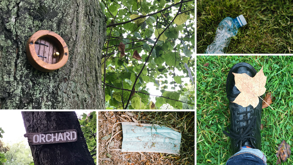 Highbury Park litter picking trail ecobirmingham