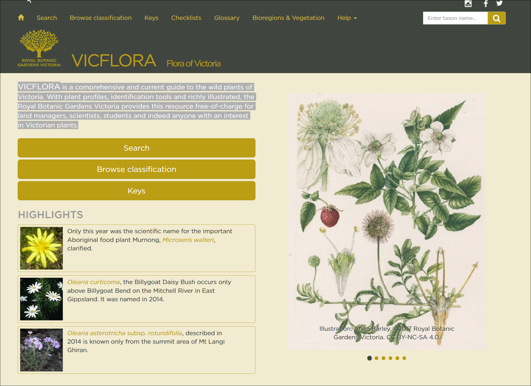 VicFlora — Flora of Victoria Ecobits Australia