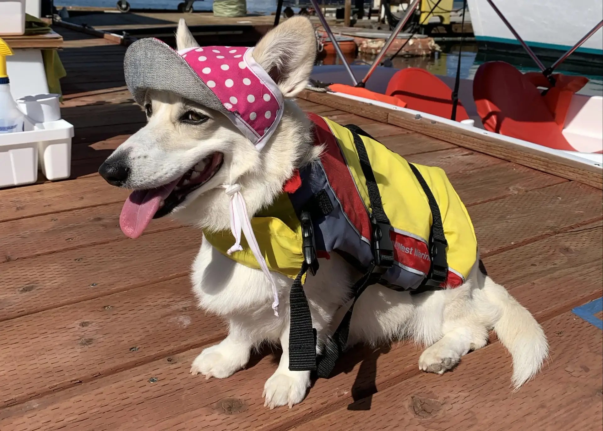 New Punch Deal Special Eco Boat Rentals