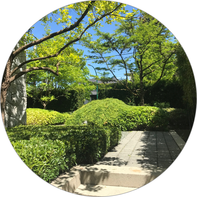 Landscaping New Westminster New Westminster Landscapers