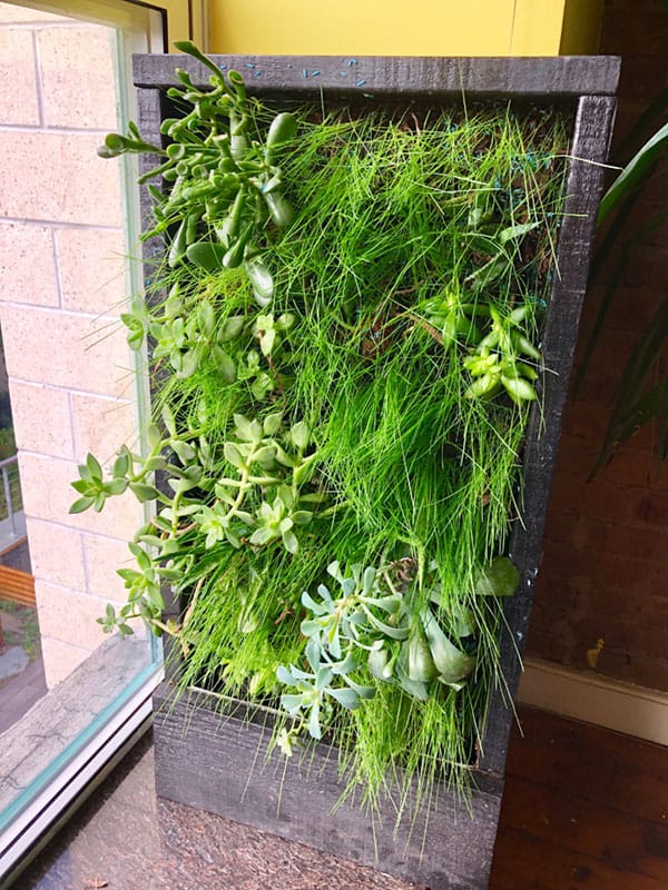 Grass Living Wall Living Walls Garden Living Wall Vertical Garden