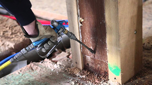 Termite Control ECO CARE
