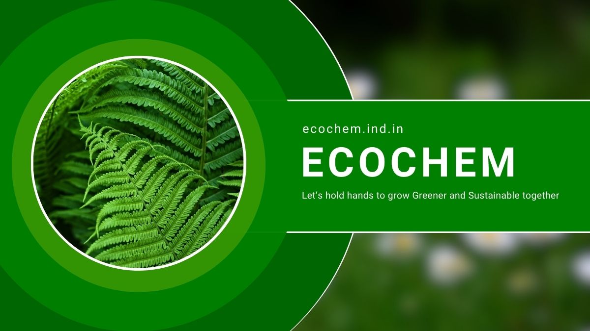 [Top 13] List of Best EcoFriendly Cleaning products