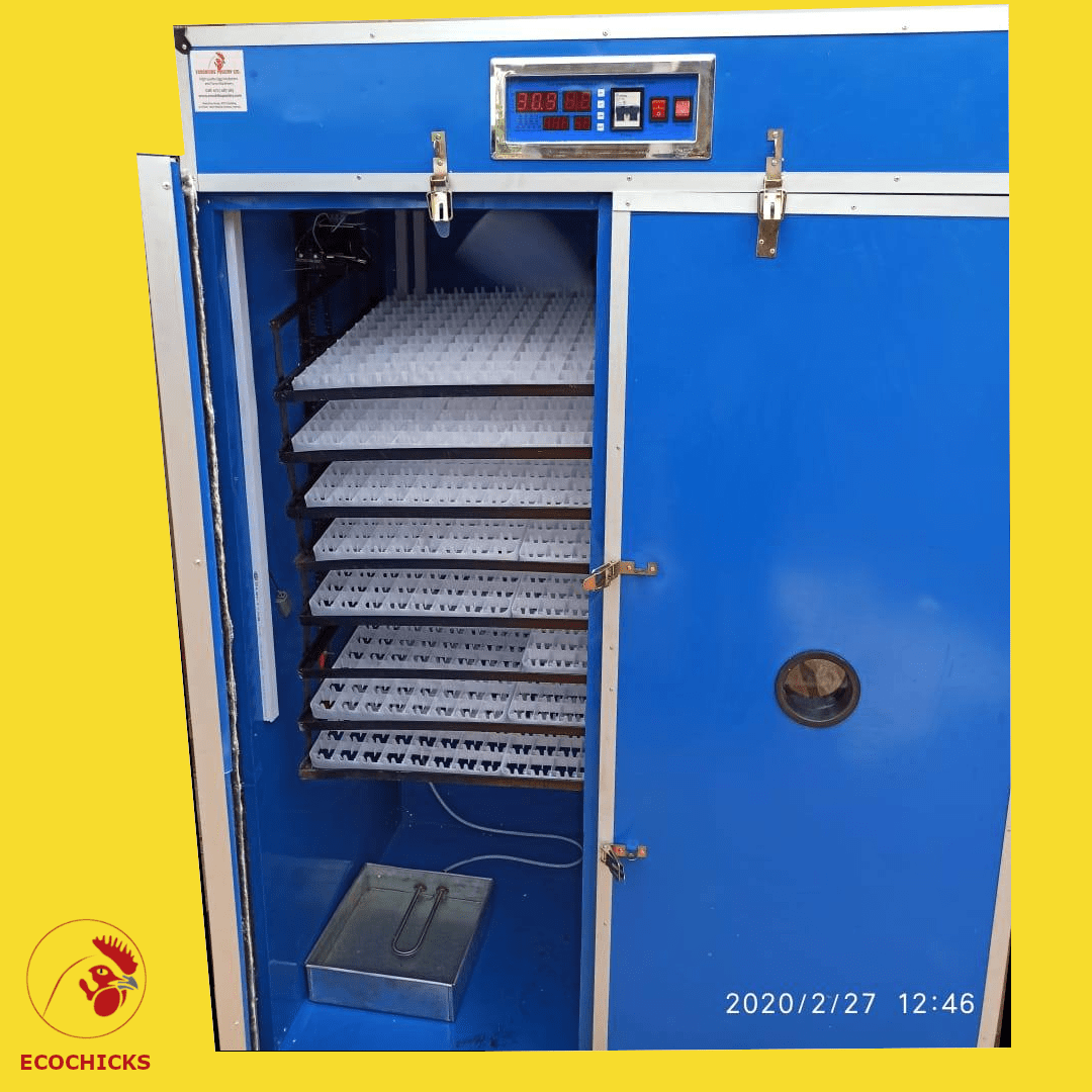 2112 Eggs incubator with digital intelligent thermometer fully