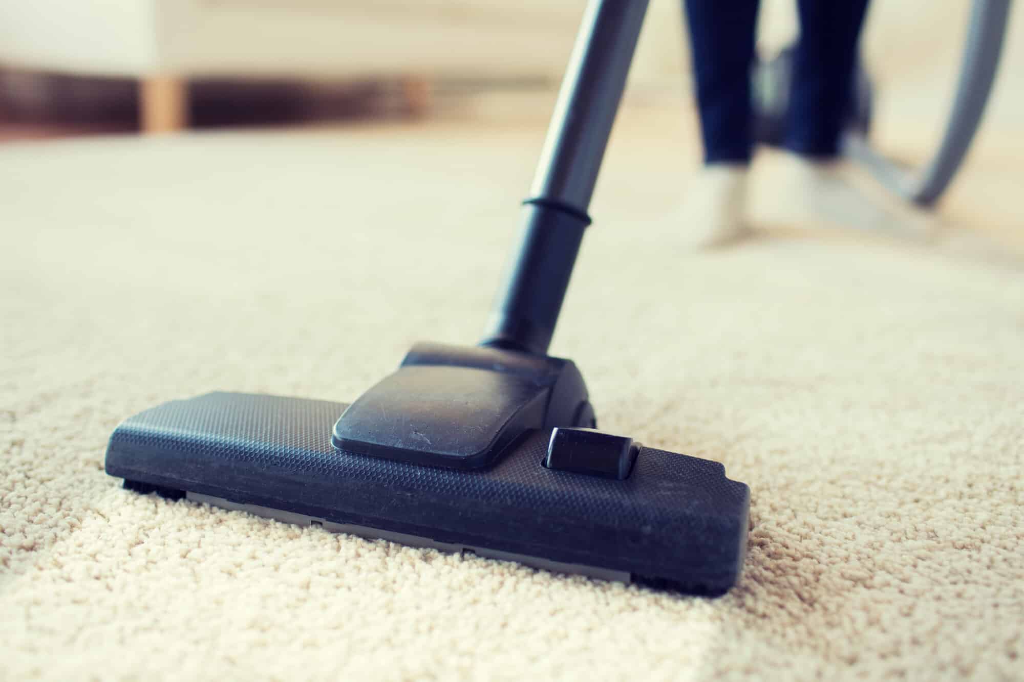5 Carpet Cleaning Tips for New Homeowners Eco Clean Ellie's