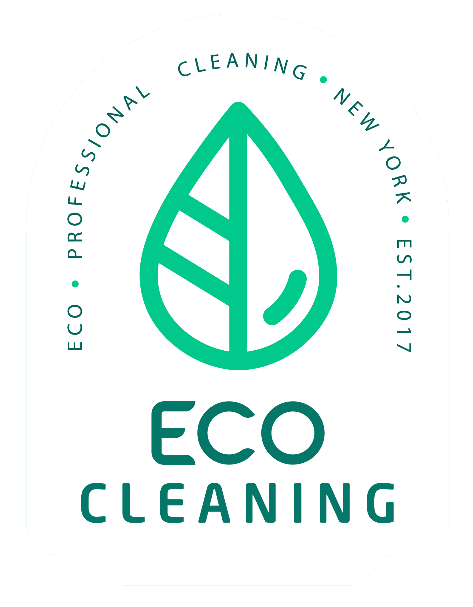 Carpet Cleaning Service NYC Best Rug Cleaners Eco Cleaning NYC