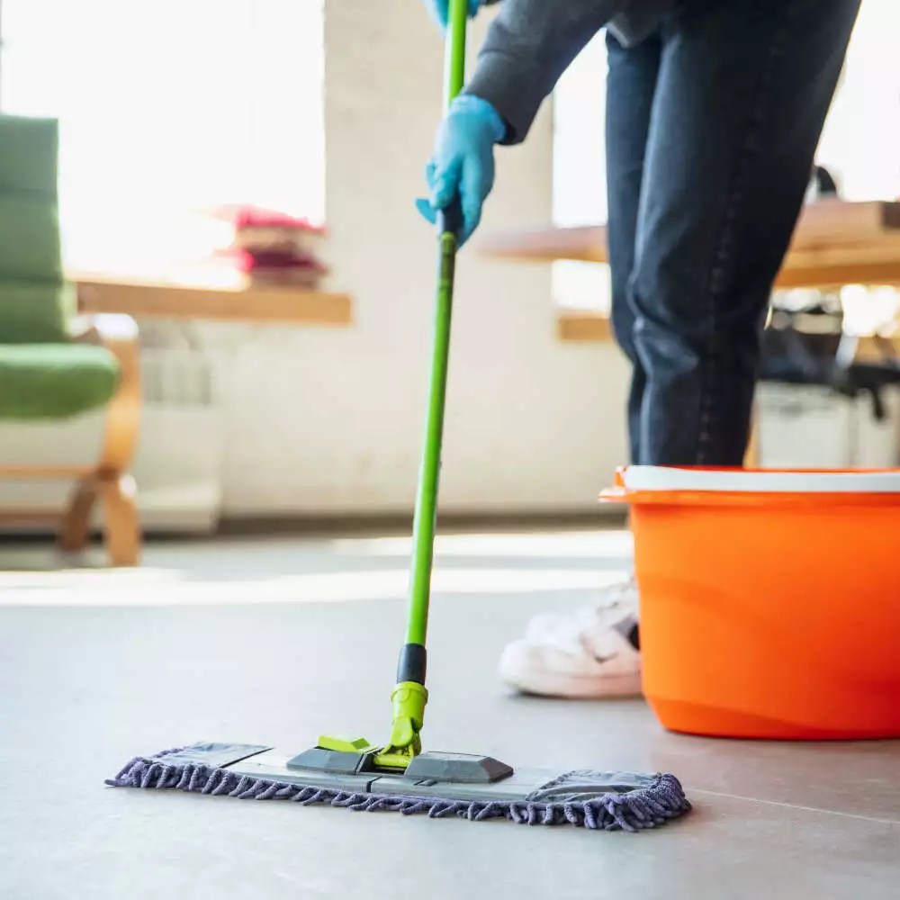 Home Services Eco Cleaning Services