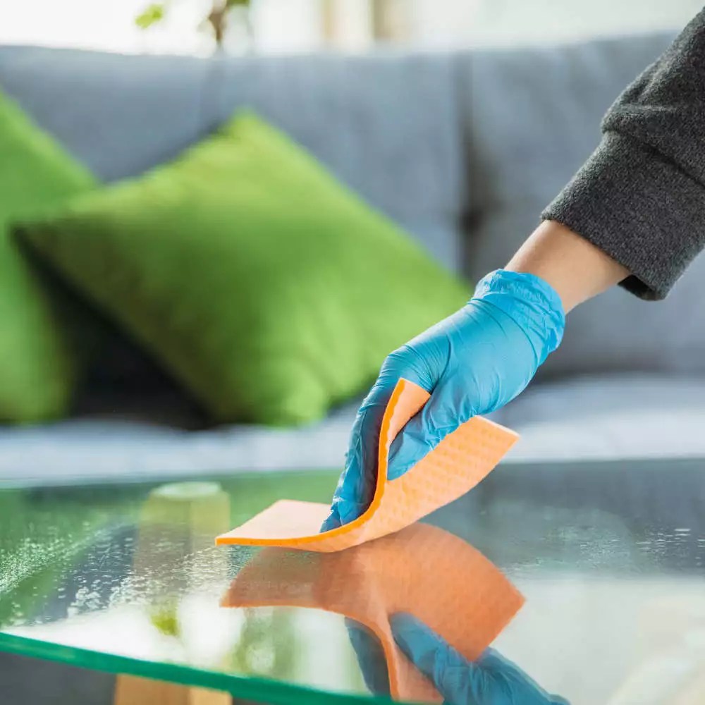 Home Services Eco Cleaning Services