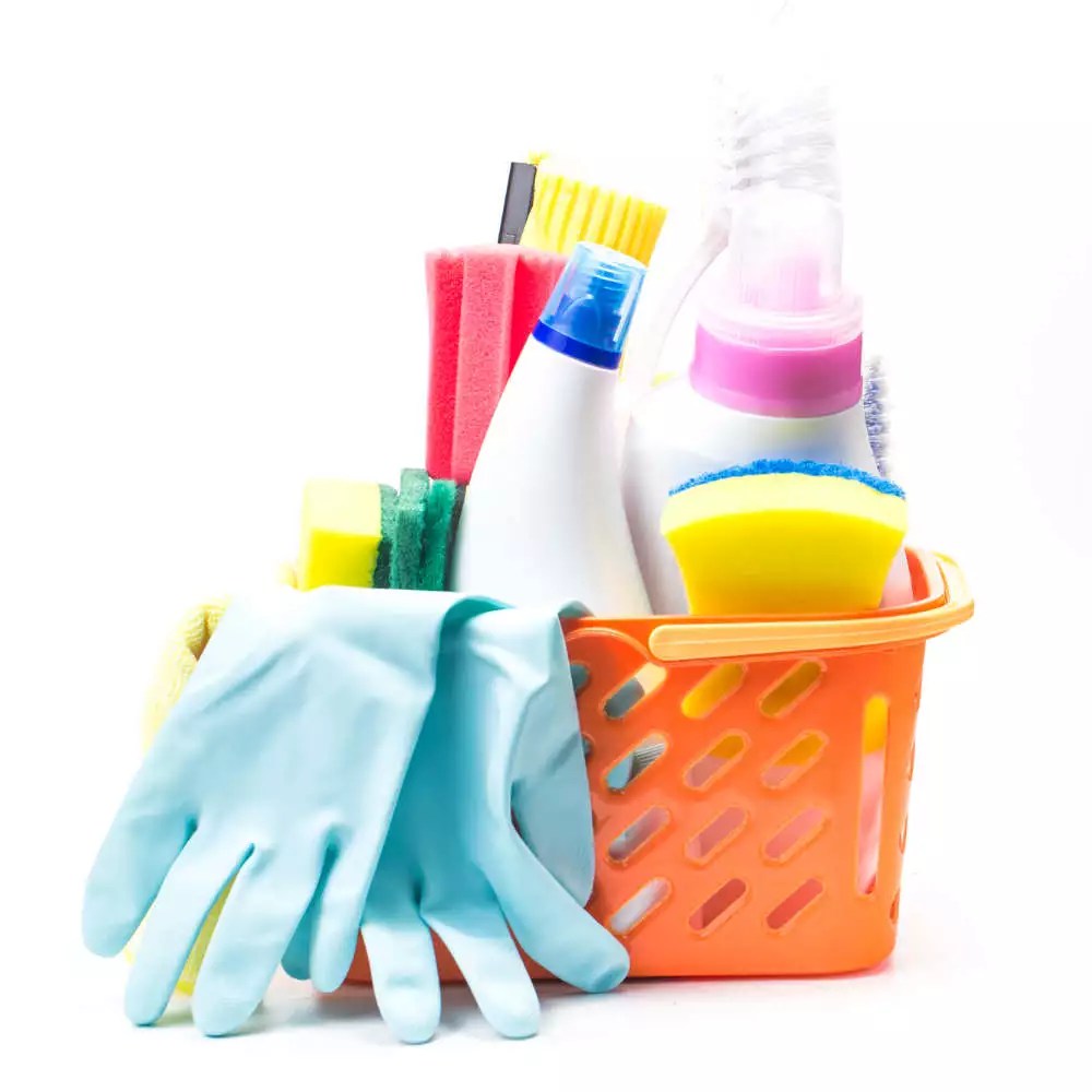 Home Services Eco Cleaning Services