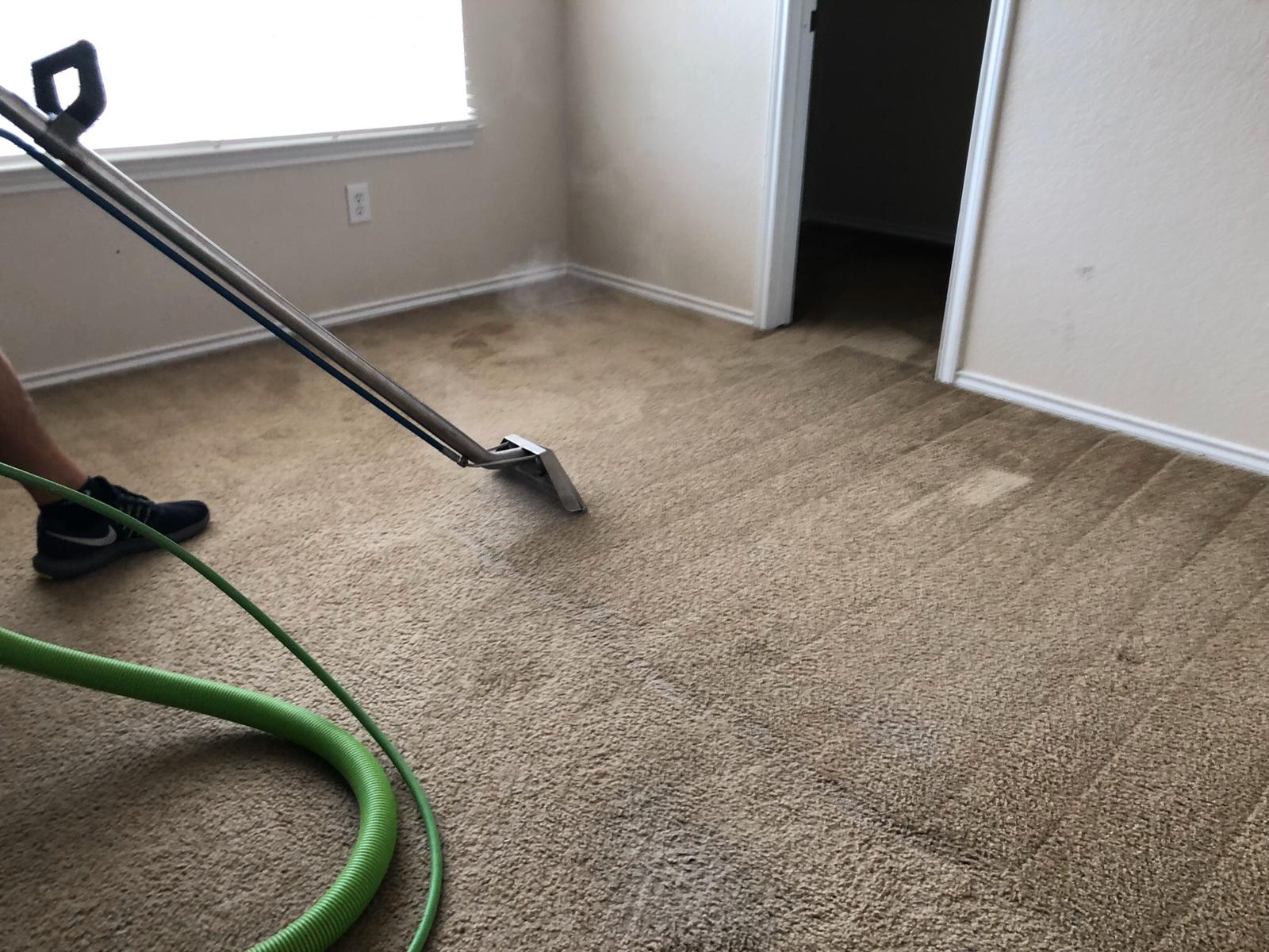Why Carpet Cleaning Is Important? ﻿﻿EcoClean Professional Floor Care