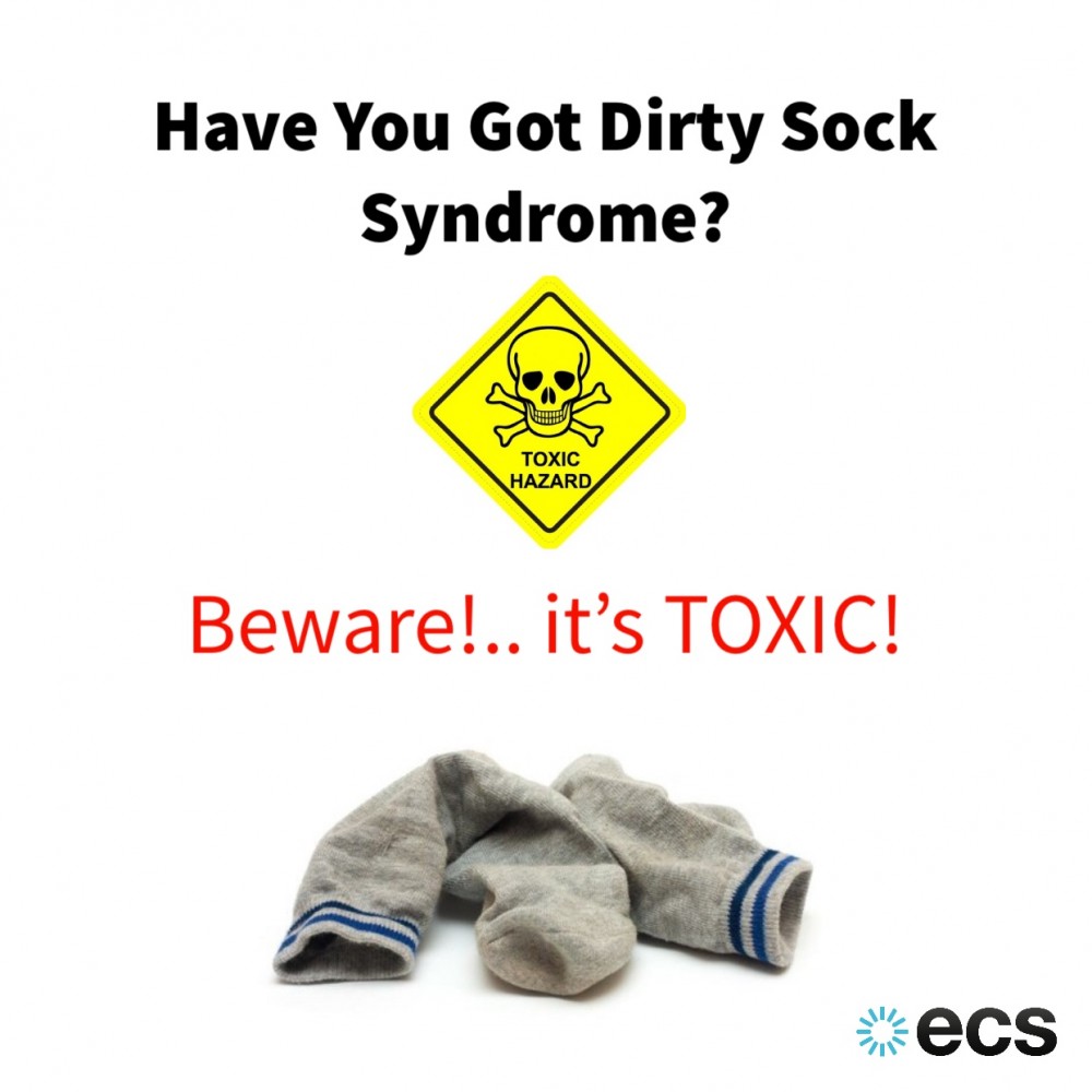 Air Conditioning Servicing Dirty Sock Syndrome Mould