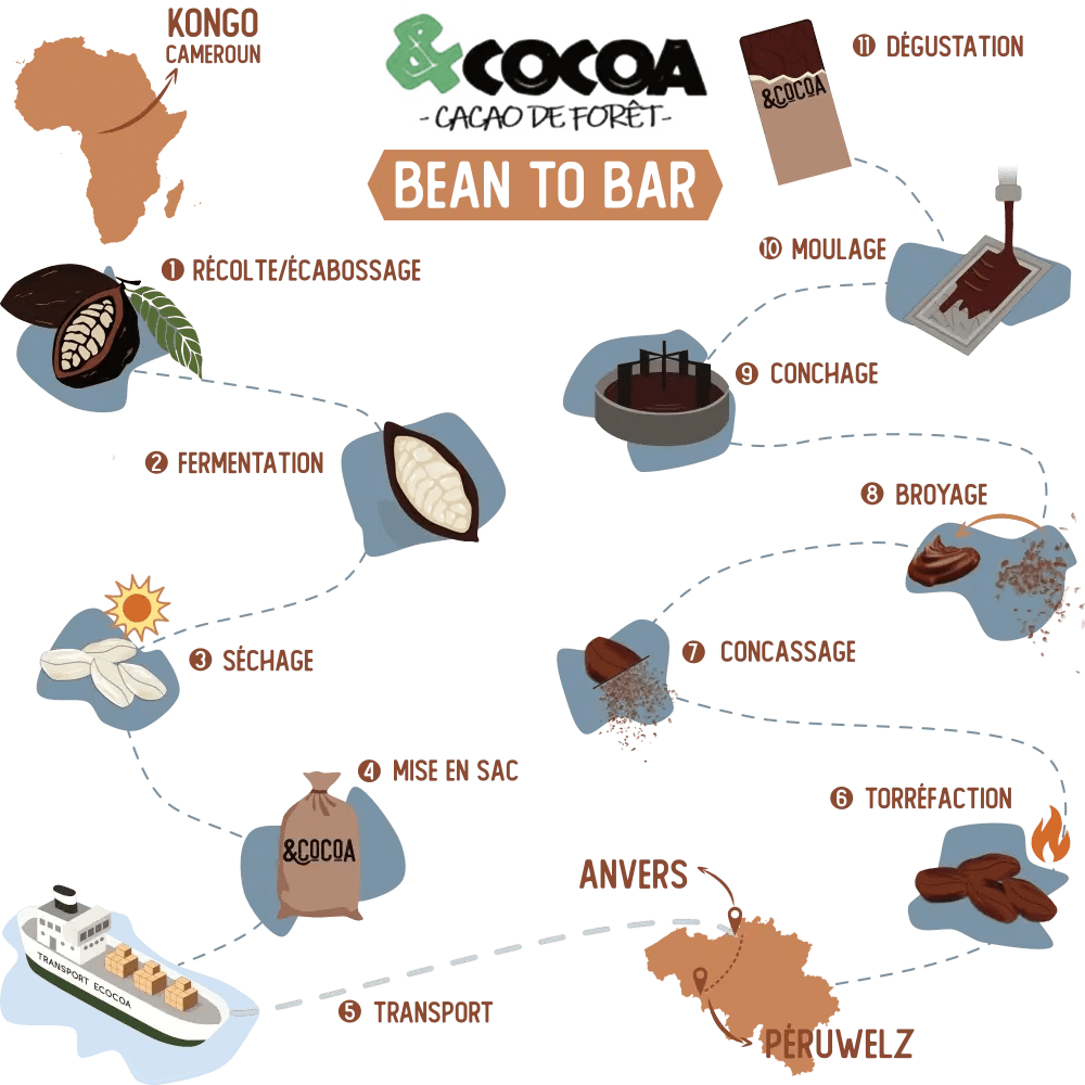 Fabrication artisanale Bean to Bar Ecocoa Péruwelz