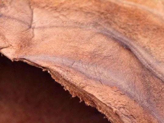 Tela ecológica hecha a partir de setas que puede sustituir al cuero y