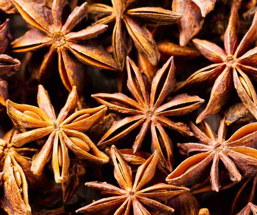 Anís estrellado. Propiedades, beneficios, contraindicaciones